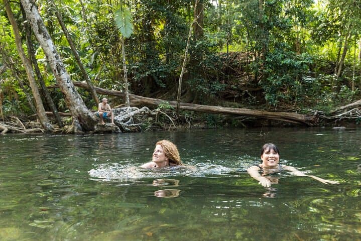 Daintree Rainforest and Cape Tribulation Full Day Tour
