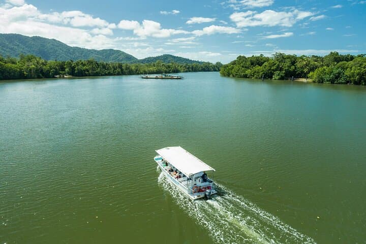 Daintree Rainforest and Cape Tribulation Full Day Tour