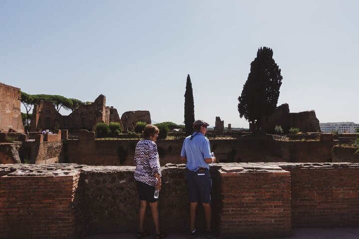 Guided Group Tour of Colosseum, Palatine Hill and Roman Forum
