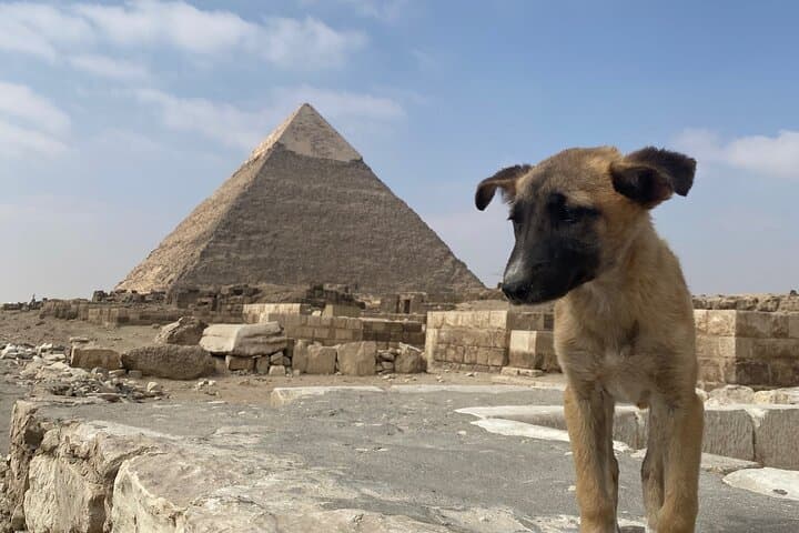Private Tour Giza Pyramids, Sphinx And Grand Egyptian Museum