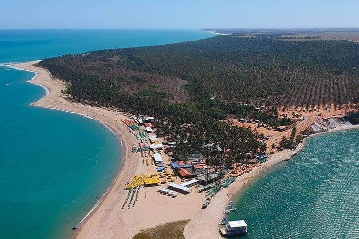 Gunga Beach + Barra De São Miguel + Gunga viewpoint