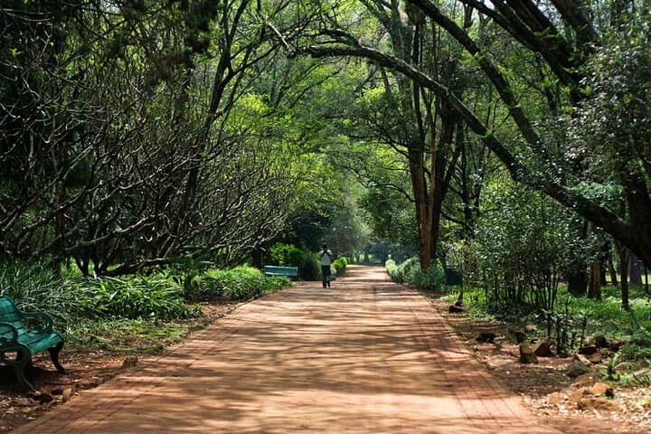 Private Day Tour to Nairobi Arboretum and Nairobi National Museum