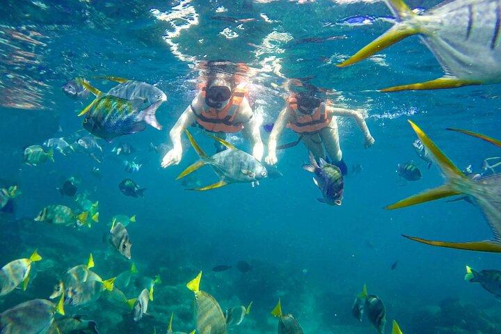Los Cabos Arch and Snorkeling Boat Tour