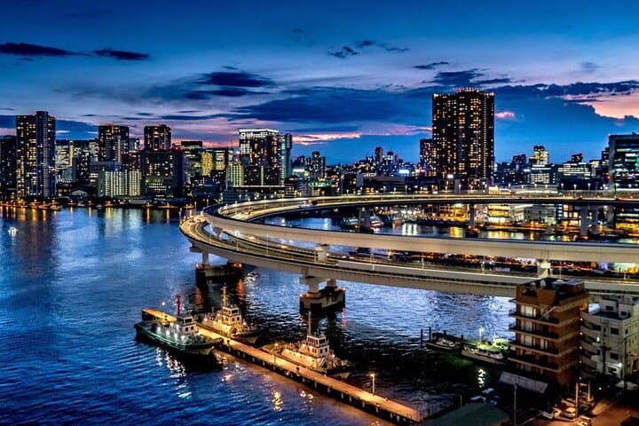 Tokyo Twilight Expedition Car Tour – Nighttime City Cruise!