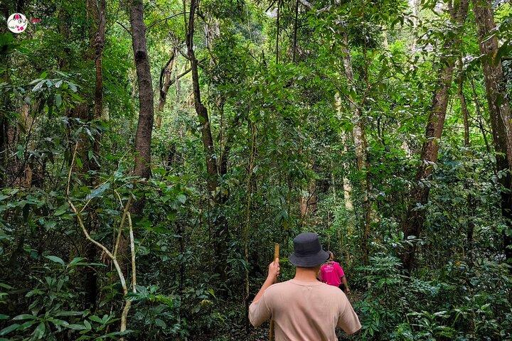 Chiang Mai: Inthanon, Elephant Sanctuary Observation & Waterfall