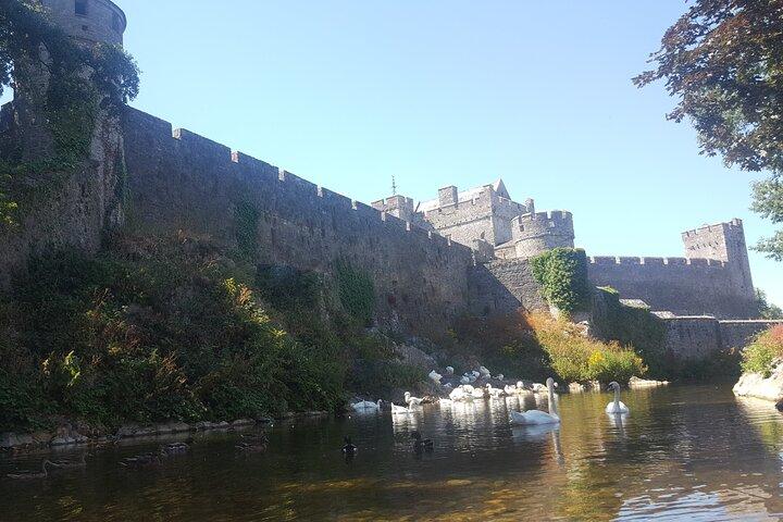 Private Tour: Discover Rock of Cashel & Cahir Castle from Cork