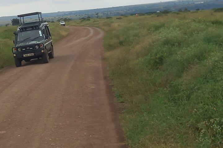 Wildlife safari at Nairobi National Park