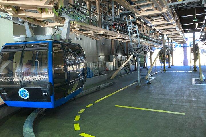 Customizable Hakone Private day Trip, English Speaking driver