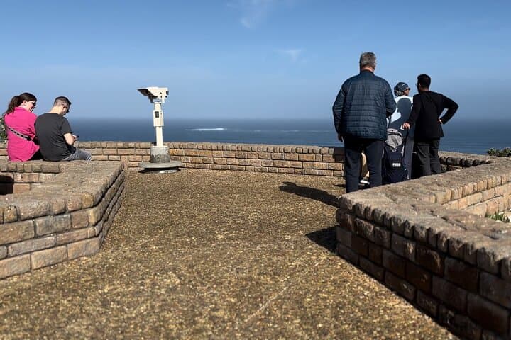 Cape Town Full Day Tour to Boulder Penguins and Cape of Good Hope