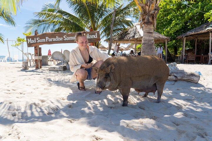Koh Samui Island Hopping Adventure in Coral and Pig Island