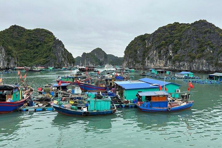 2 Days 1 Night Explore Lan Ha Bay & Cat Ba Island from Hanoi