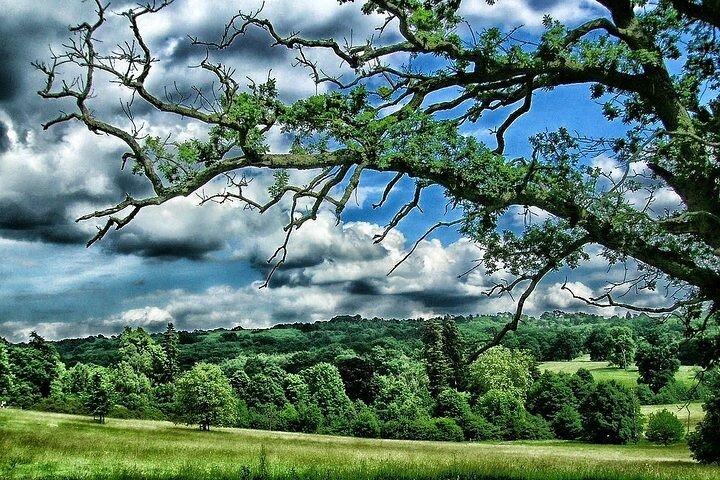 Kent Garden of England in Private Vehicle Tour including Passes