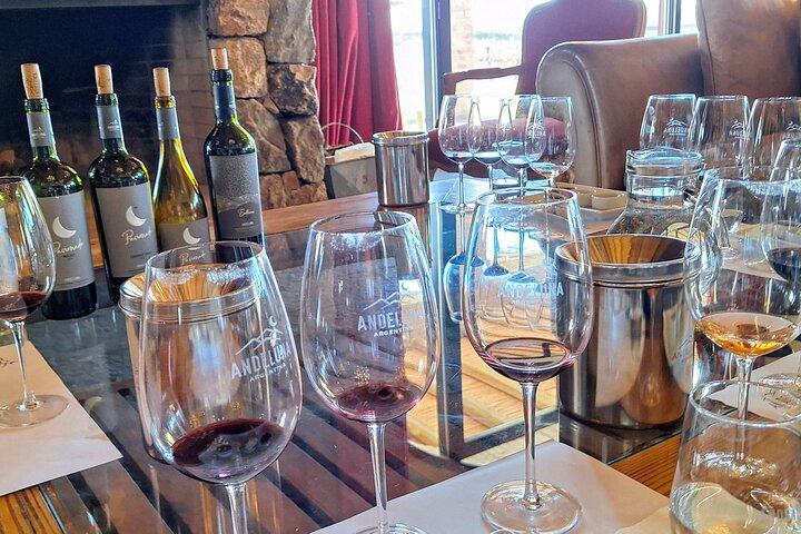 Uco Valley Wineries Day with Private Driver