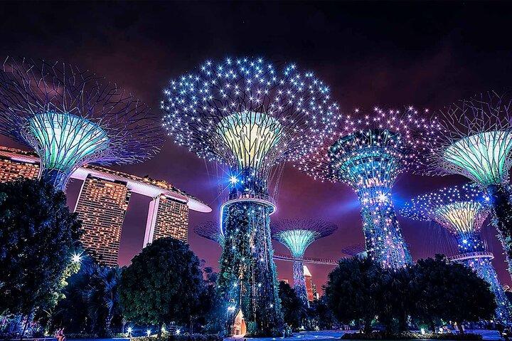 Admission E-Ticket to Gardens by the Bay Singapore