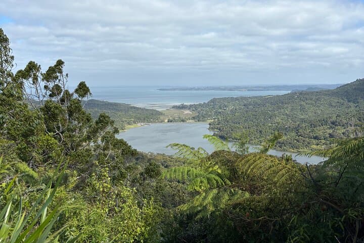 Private Auckland best Spots + Piha beach & Karekare Falls Tour