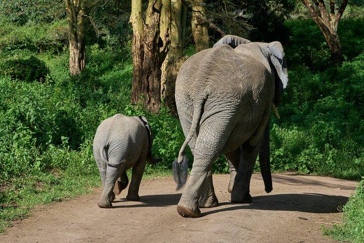 5-Day affordable Tanzania safari with extra activities