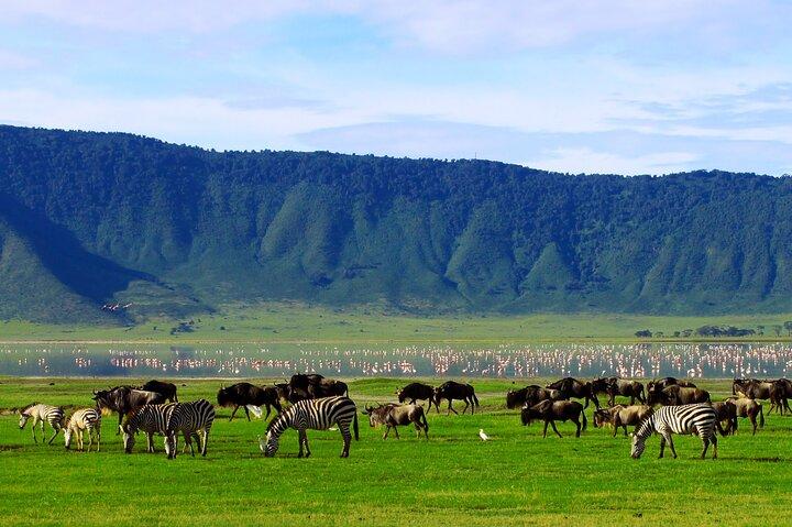 5-Day affordable Tanzania safari with extra activities