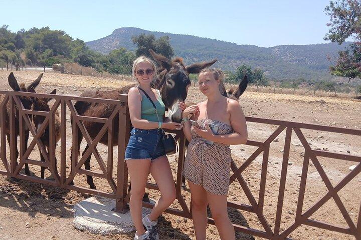 Paphos: Akamas Gorge & Turtle Bay & Donkey Farm Jeep Safari Tour