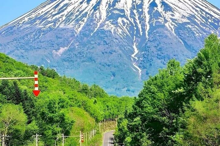 Mount Fuji Oshino Hakkai Sengen Park Sightseeing Day Tour