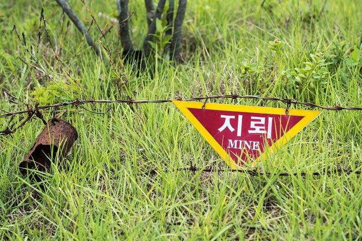 DMZ One Day Tour in Gyeonggi-do with English or Spanish