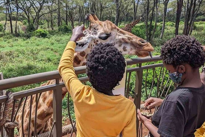 Giraffe Center and Karen Blixen Museum from Nairobi