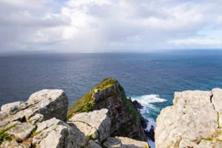 Private Half Day Cape Peninsula Tour