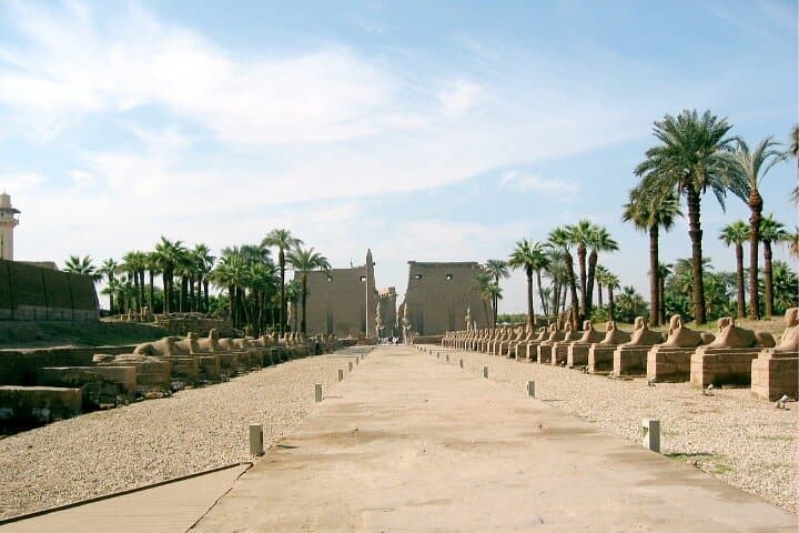 Private Half Day Tour to East Bank Karnak & Luxor Temples