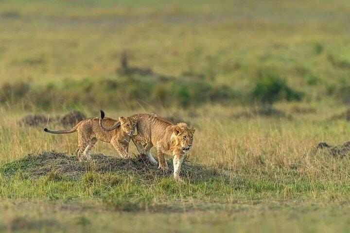 3 Days Group Camping Tour in Tarangire, Ngorongoro & Manyara