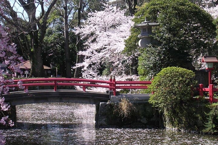 Bullet Train Experience & Mishima Shrine Private Tour from Tokyo