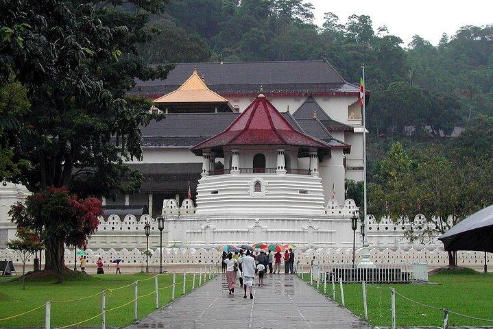 Honeymoon Tour of Sri Lanka 7N/8D