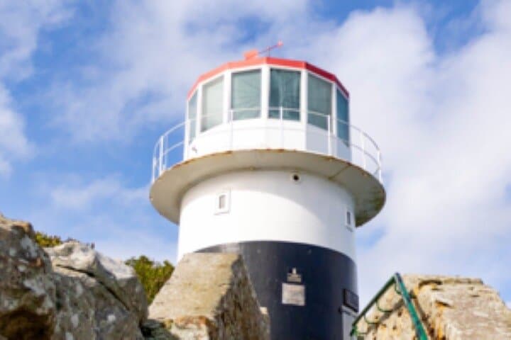 Private Half Day Cape Peninsula Tour