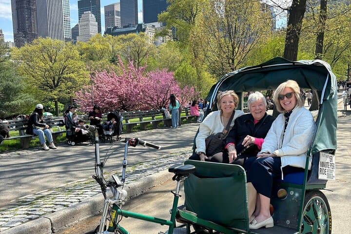 Central Park Movie Locations and Celebrity Homes Pedicab Tour