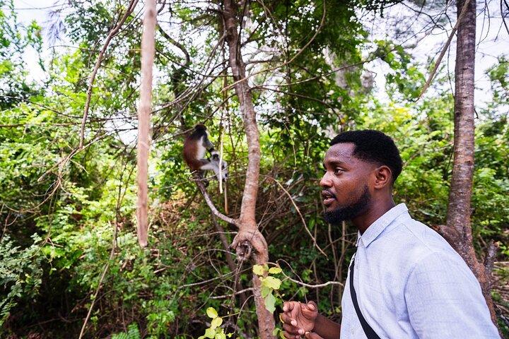 Zanzibar Nature Tour: Jozani Forest, Red colobus,Rock Restaurant