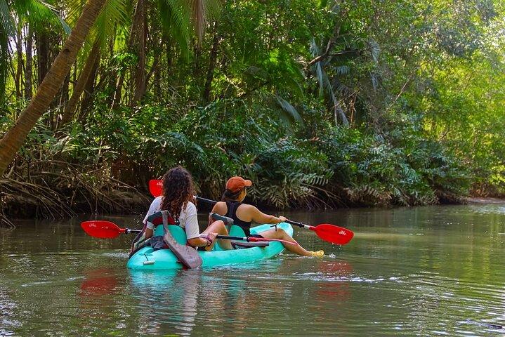 Mangrove Kayak Tour | Quepos & Manuel Antonio