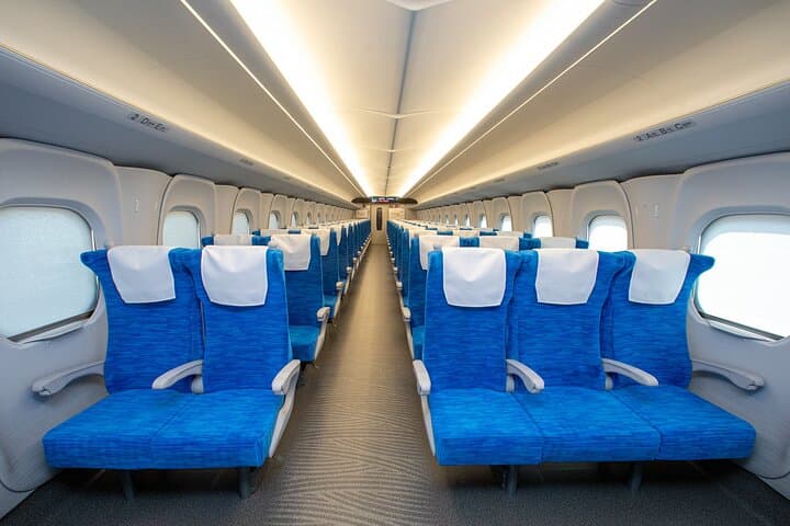 Bullet Train Experience & Mishima Shrine Private Tour from Tokyo