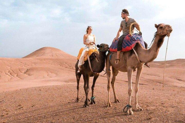 Private Agafay Desert Sunset Camel Trek with Tea & Water