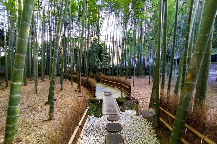 Day Trip to Kamakura & Enoshima: Shrines, Seaside, Temples & Tea