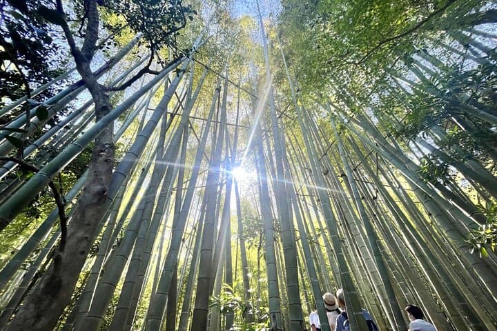 Day Trip to Kamakura & Enoshima: Shrines, Seaside, Temples & Tea