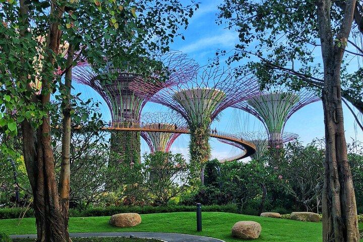 Gardens by the Bay Guided Tour
