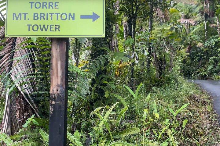 El Yunque Rainforest Hike with Transport from San Juan
