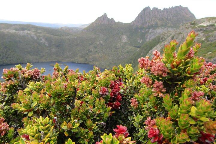 BIG 3 Tasmania - Port Arthur, Wineglass Bay, Cradle Mountain