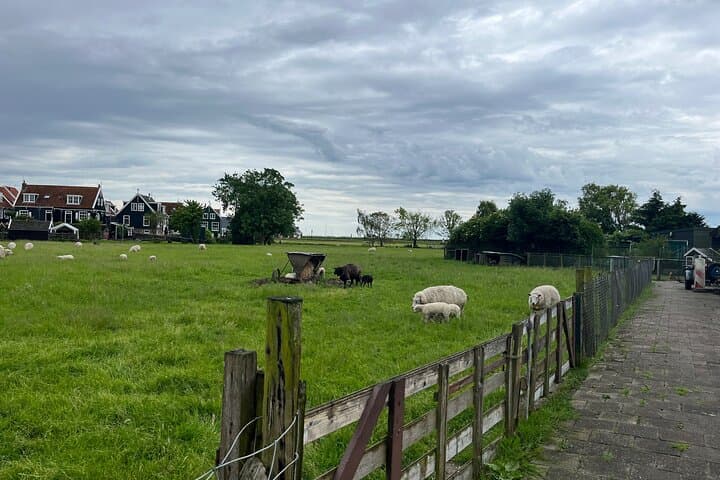 Private half day tour from Amsterdam to Edam Volendam and Marken