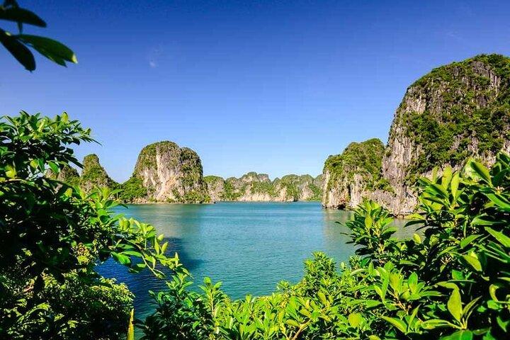 Hanoi - Bai Tu Long Bay: Explore a Hidden Paradise on Day Cruise
