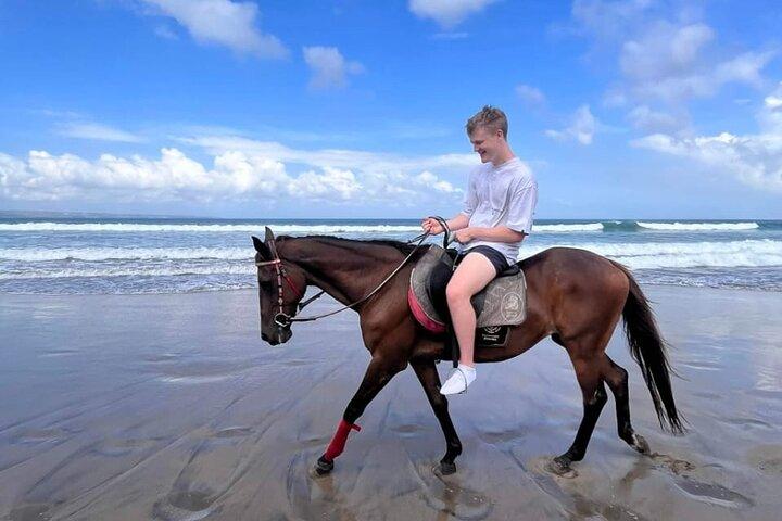 Bali Horse Riding Seminyak Beach Experience Private Transport