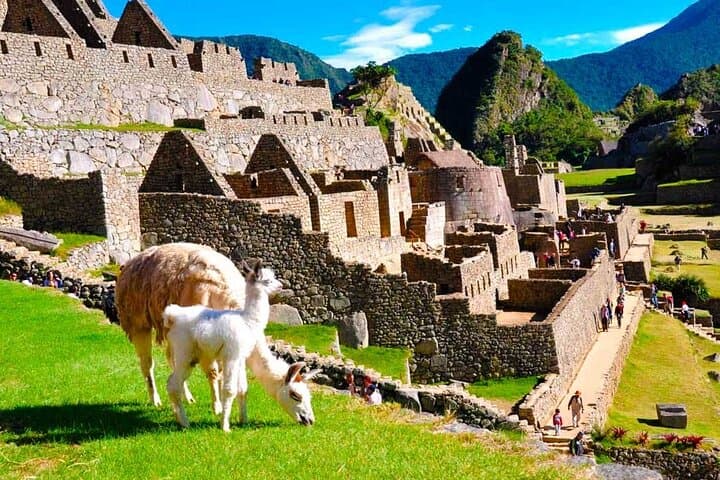 Private Guided Tour in Machu Picchu