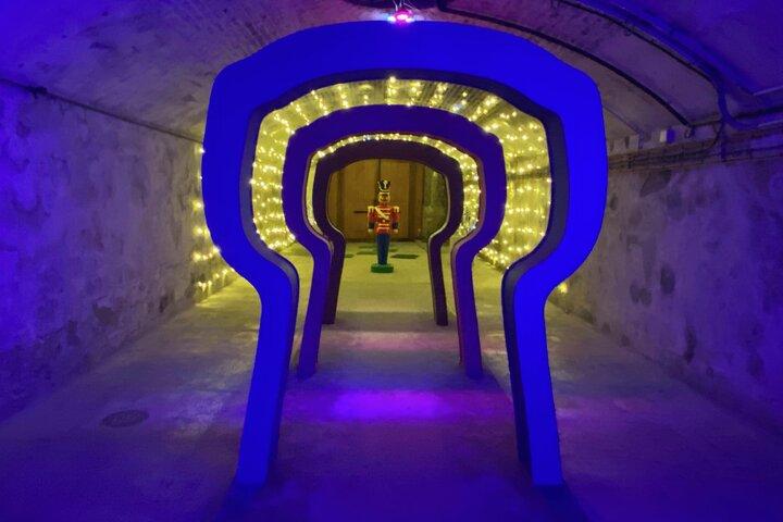 Champagne Taittinger and Pommery Private Tasting trip from Paris