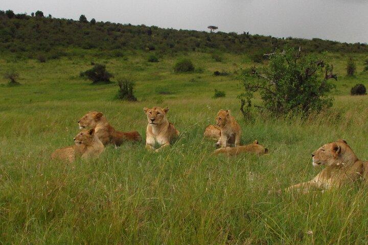 7 Days Kenya Adventure