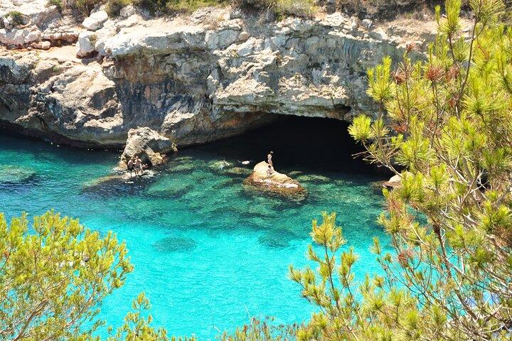 Best Mallorca Coves: Paddle Surf, Snorkeling & Transport