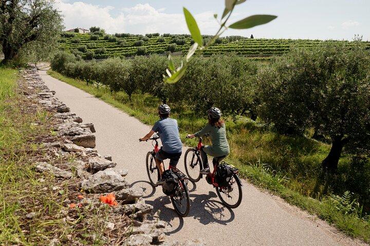 Self Guided E-Bike and Wine Adventure in Valpolicella Classica