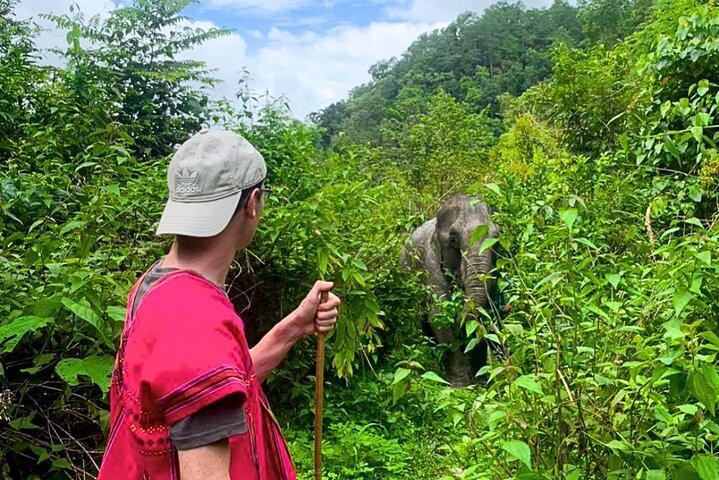 Chiang Mai: Inthanon, Elephant Sanctuary Observation & Waterfall